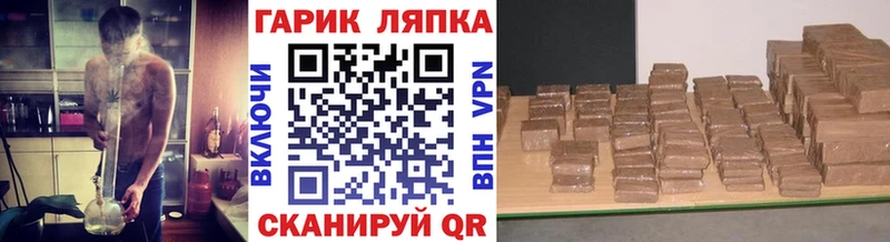 купить Кашин ГАШИШ Cannabis