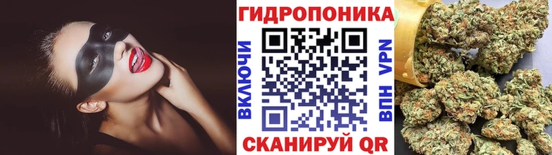 Бошки Шишки планчик  Кашин 